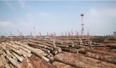 我國(guó)木材交易市場(chǎng)的形成與發(fā)展歷程